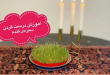 آموزش کاشت سبزه عید با گندم