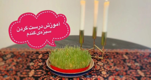 آموزش کاشت سبزه عید با گندم