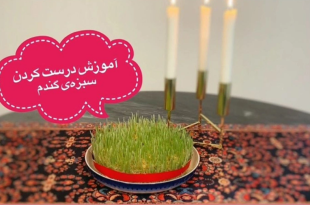 آموزش کاشت سبزه عید با گندم