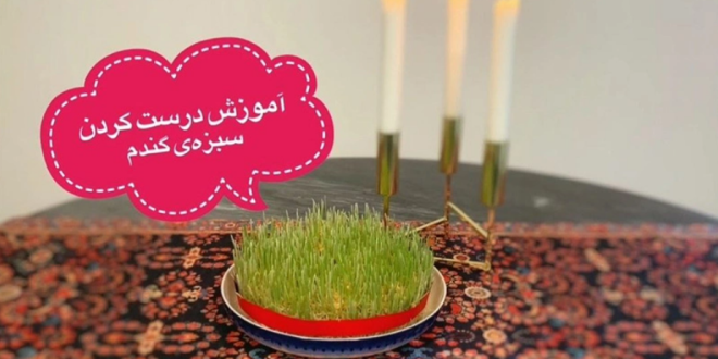 آموزش کاشت سبزه عید با گندم